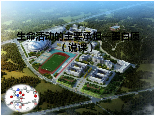 蛋白质说课课件(比赛用)