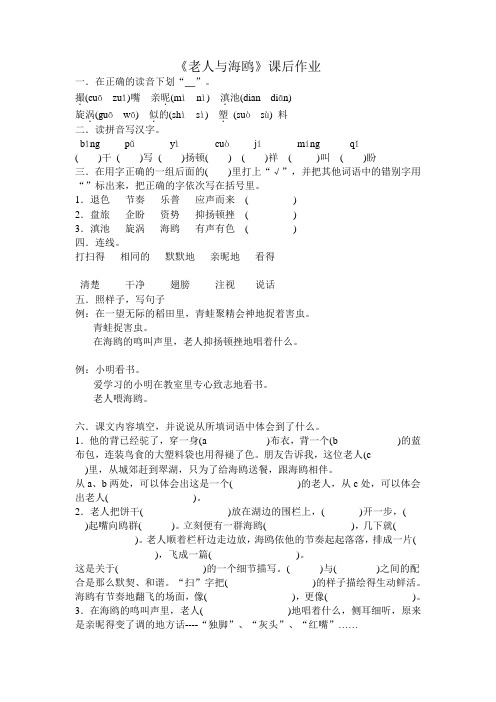 老人与海鸥课后作业
