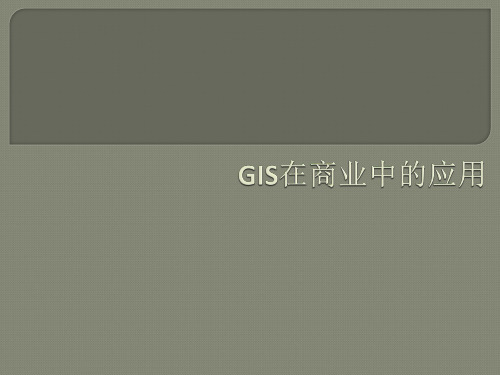 GIS在商业中的应用