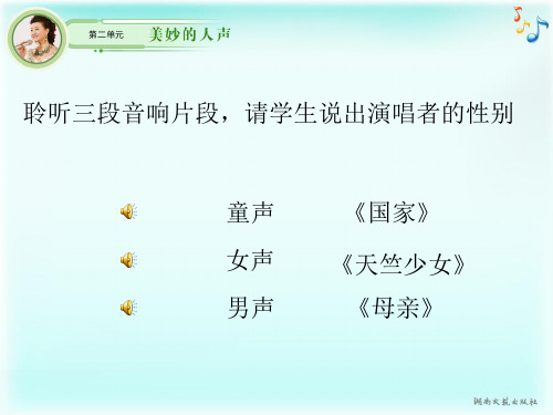 美妙的人声PPT