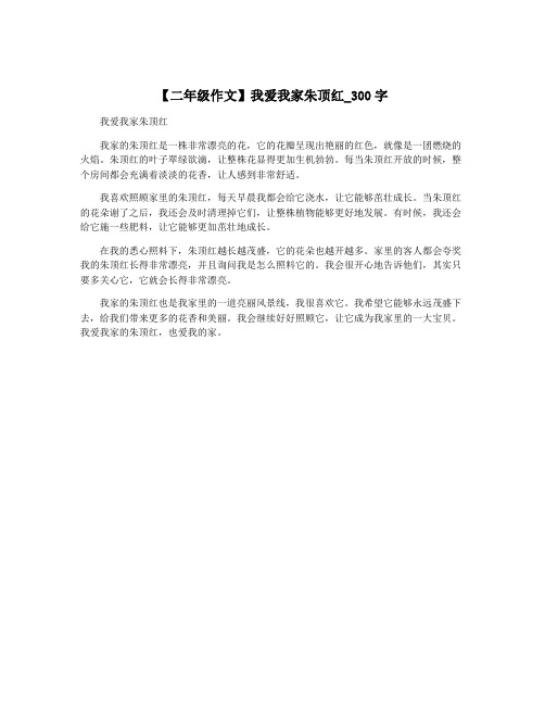 【二年级作文】我爱我家朱顶红_300字