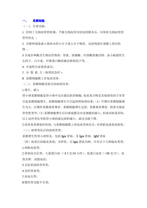 肾脏五类固有细胞