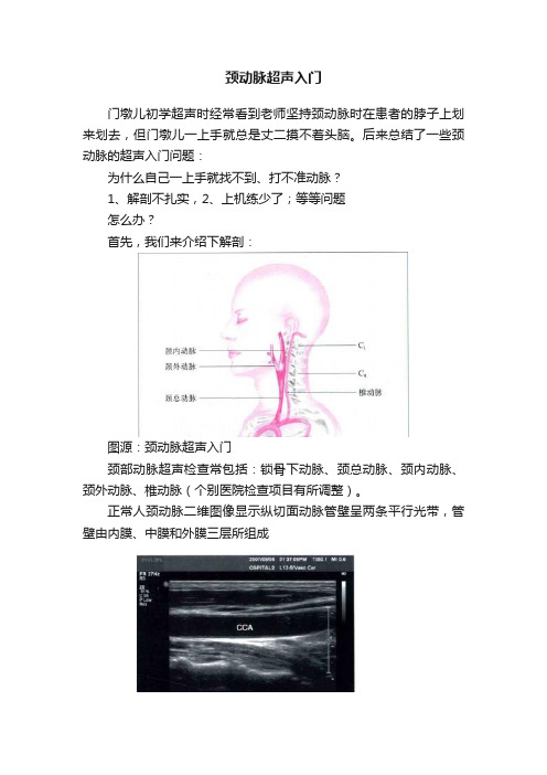 颈动脉超声入门