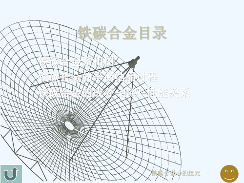 铁碳合金的平衡结晶过程及其成分PPT(37张)