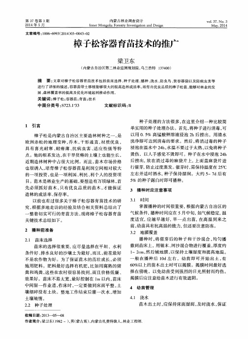樟子松容器育苗技术的推广