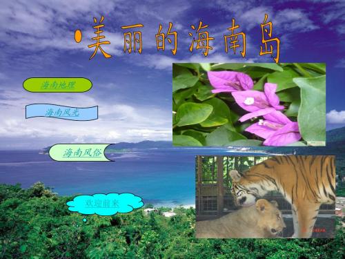 海南