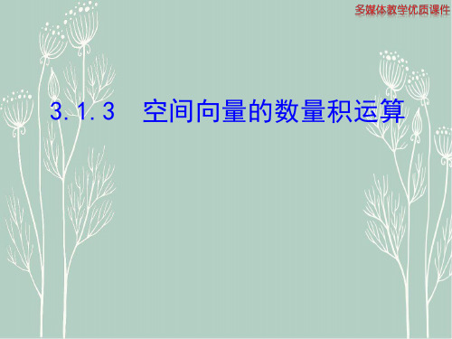 高二数学  人教A版选修2-1课件：3.1.3 空间向量的数量积运算