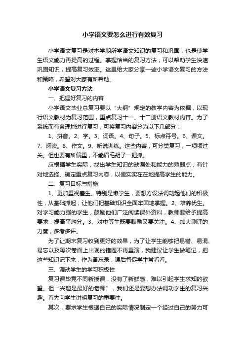 小学语文要怎么进行有效复习