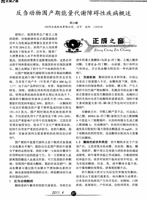 反刍动物围产期能量代谢障碍性疾病概述
