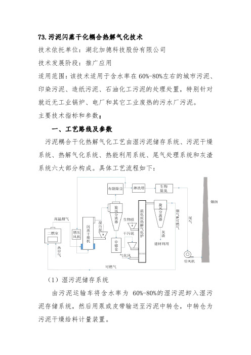 73.污泥闪蒸干化耦合热解气化技术