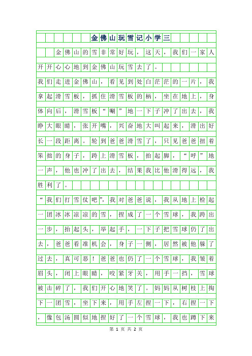 2019年金佛山玩雪记小学三年级作文300字