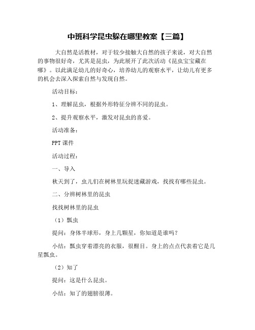 中班科学昆虫躲在哪里教案【三篇】