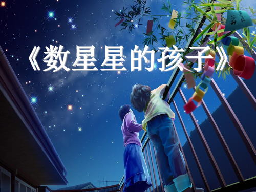 人教版部编版二年级下册语文 《数星星的孩子》PPT课件 (2)