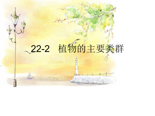 北师大版 生物 八年级 下册 22-2植物的主要类群