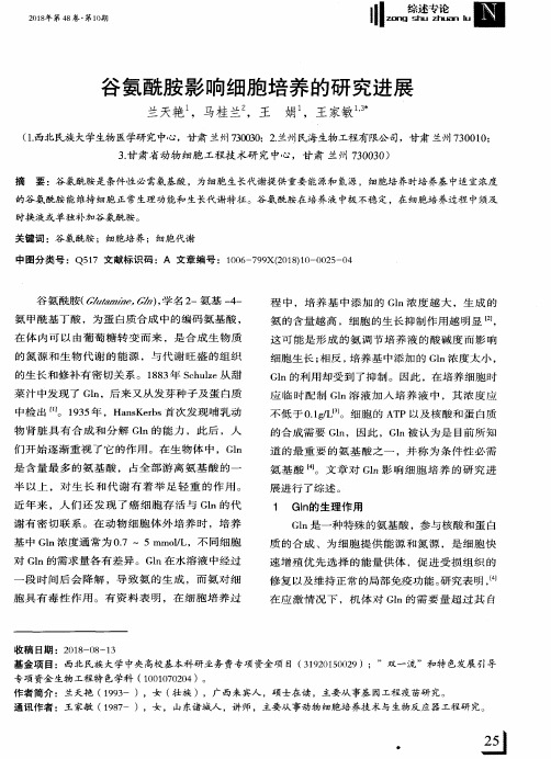 谷氨酰胺影响细胞培养的研究进展