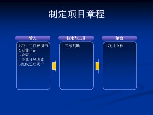 系统集成项目管理工程师知识点精华42个过程组输入输出资料
