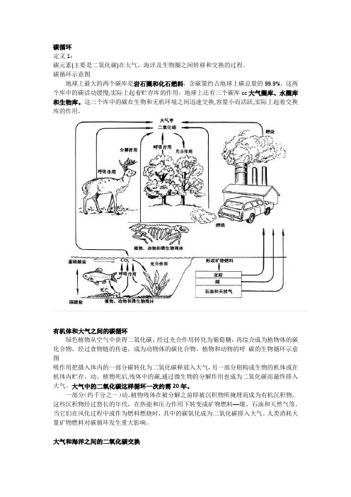 碳循环