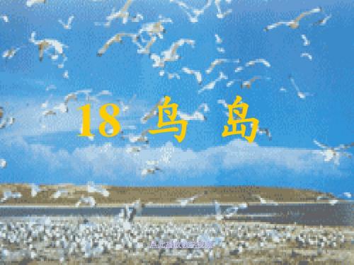 2017年春季学期苏教版二年级语文下册5.18鸟岛课件12