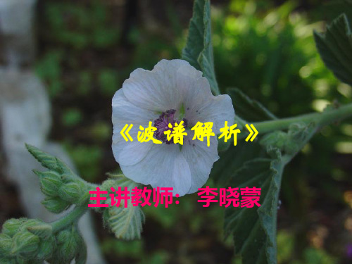 波谱解析IR