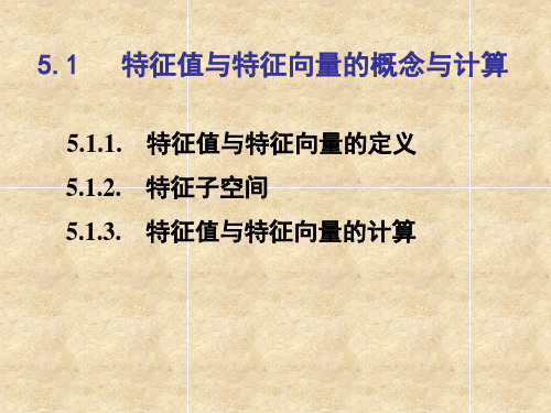 5.1 特征值与特征向量的概念与计算