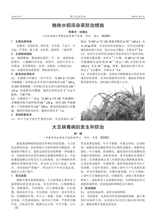 抛秧水稻田杂草防治措施