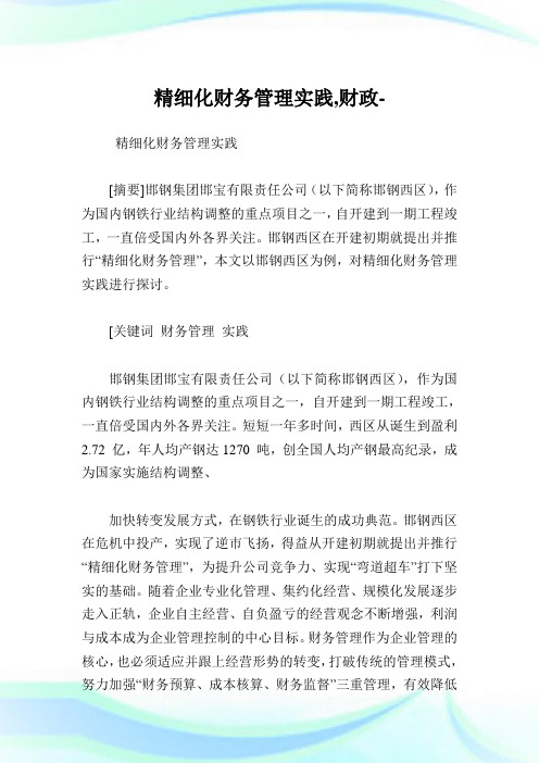 精细化财务管理实践,财政范文.doc