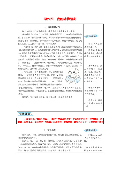 2020年部编版四年级语文下册习作四《 我的动物朋友》优秀范文汇总