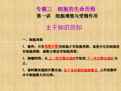 高考生物二轮复习 专题三 细胞的生命历程精品名师课件