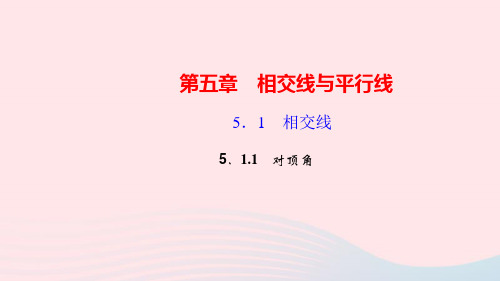 数学七年级上册第五章相交线与平行线5.1相交线1对顶角作业课件 华东师大版