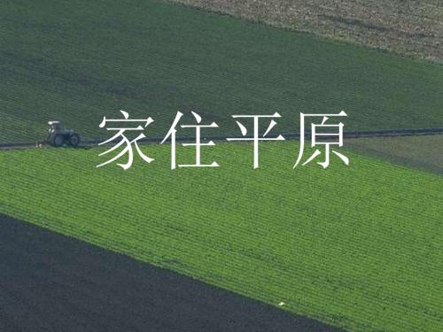 【初中历史】稻作文化的印记ppt 人教版