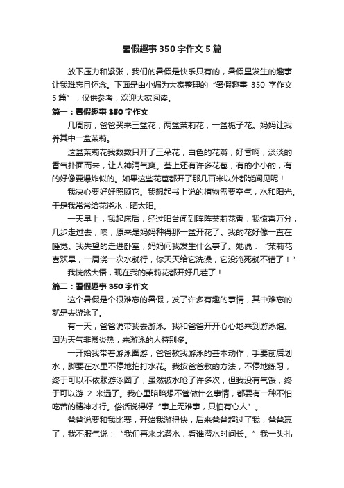 暑假趣事350字作文5篇