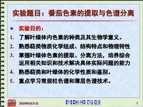有机化学实验：医学：番茄色素的提取与色谱分离