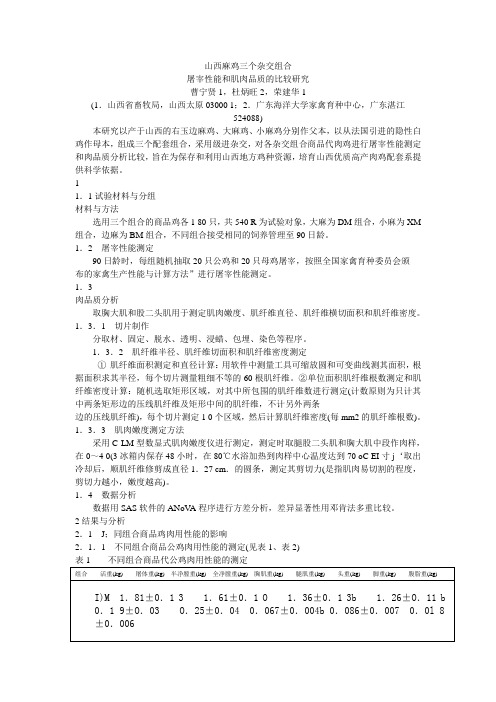 山西麻鸡三个杂交组合