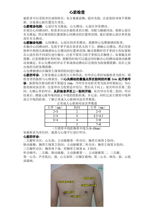公共卫生执业医师技能操作-心脏检查