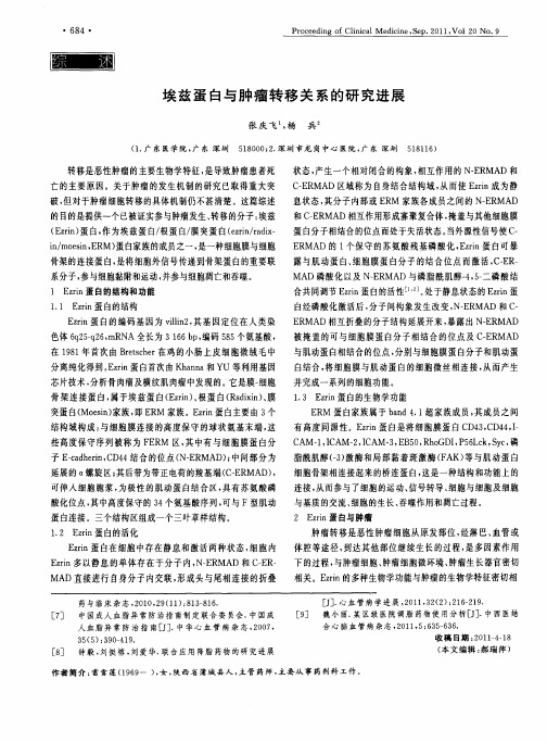 埃兹蛋白与肿瘤转移关系的研究进展