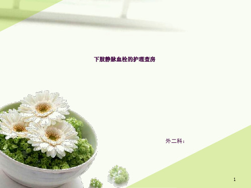 下肢静脉血栓护理查房 (2)ppt课件