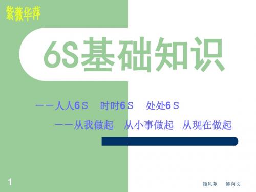 6s基础知识培训