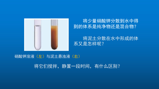 高中化学新教材优质课课件元素与物质分类