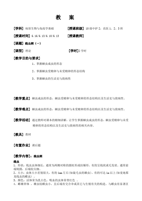 线虫