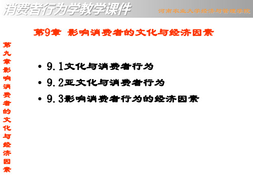 影响消费者的文化与经济因素