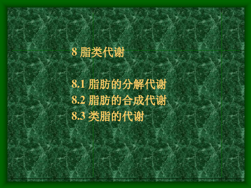 9脂肪代谢