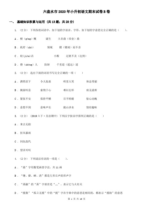 六盘水市2020年小升初语文期末试卷B卷(精编)
