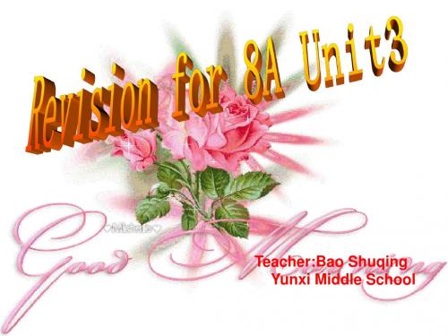 译林牛津版8a Unit 3 Revision 教学课件 (共18张PPT)