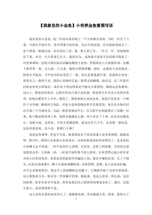 【我家里的小金鱼】小明养金鱼看图写话