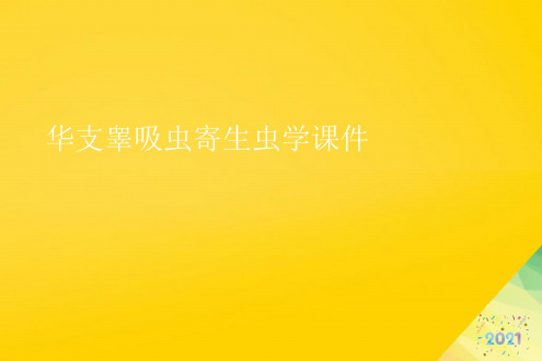 华支睾吸虫寄生虫学课件标准版资料