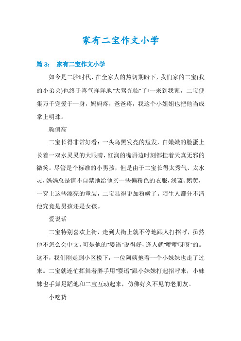 家有二宝作文小学