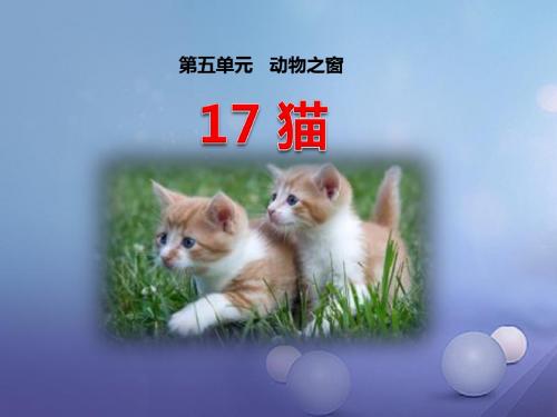 2016年秋季版七年级语文上册第五单元第17课猫课件