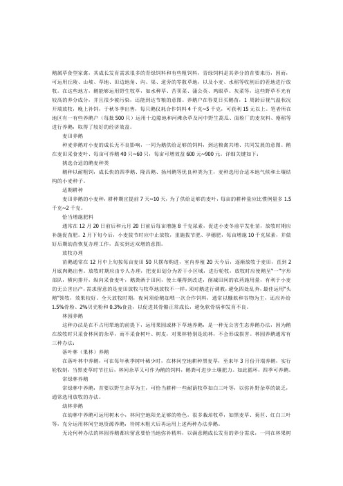 鹅苗的饲养以及选择的注意事项