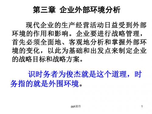 企业战略管理企业外部环境  ppt课件