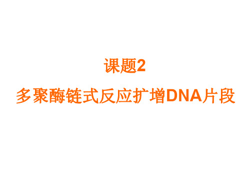 高三生物多聚酶链式反应扩增dna